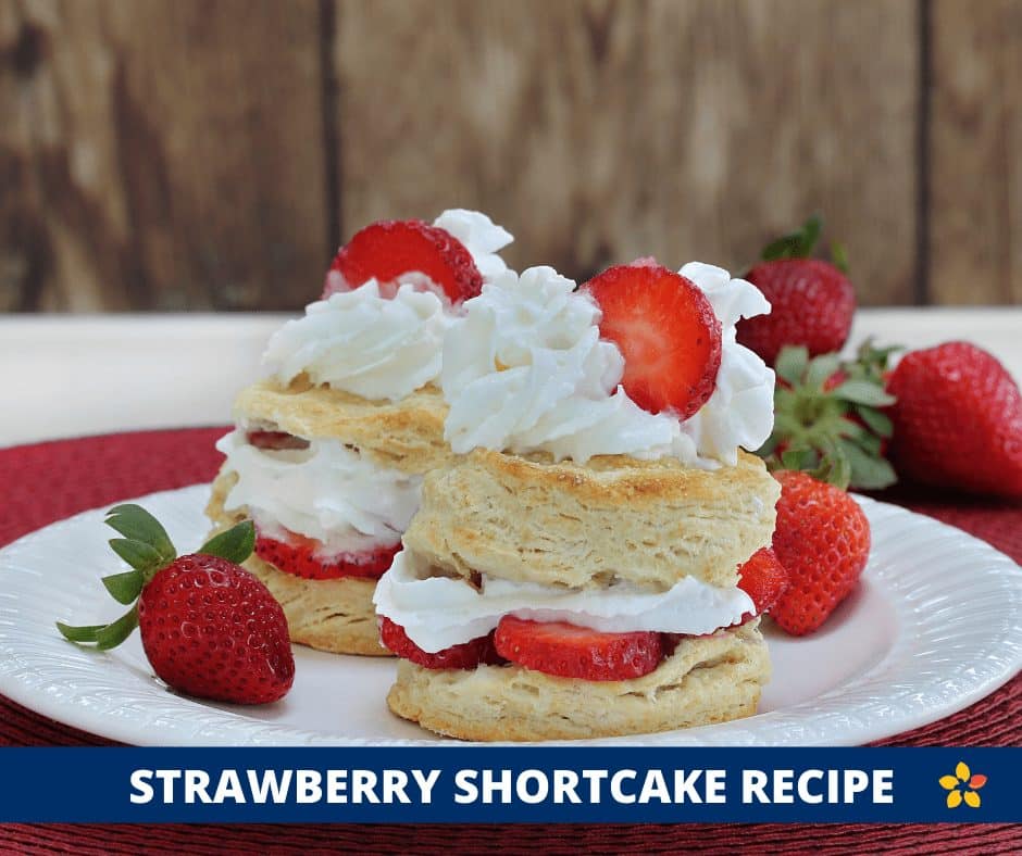 A biscuit with strawberries and whipped cream for this strawberry shortcake recipe.