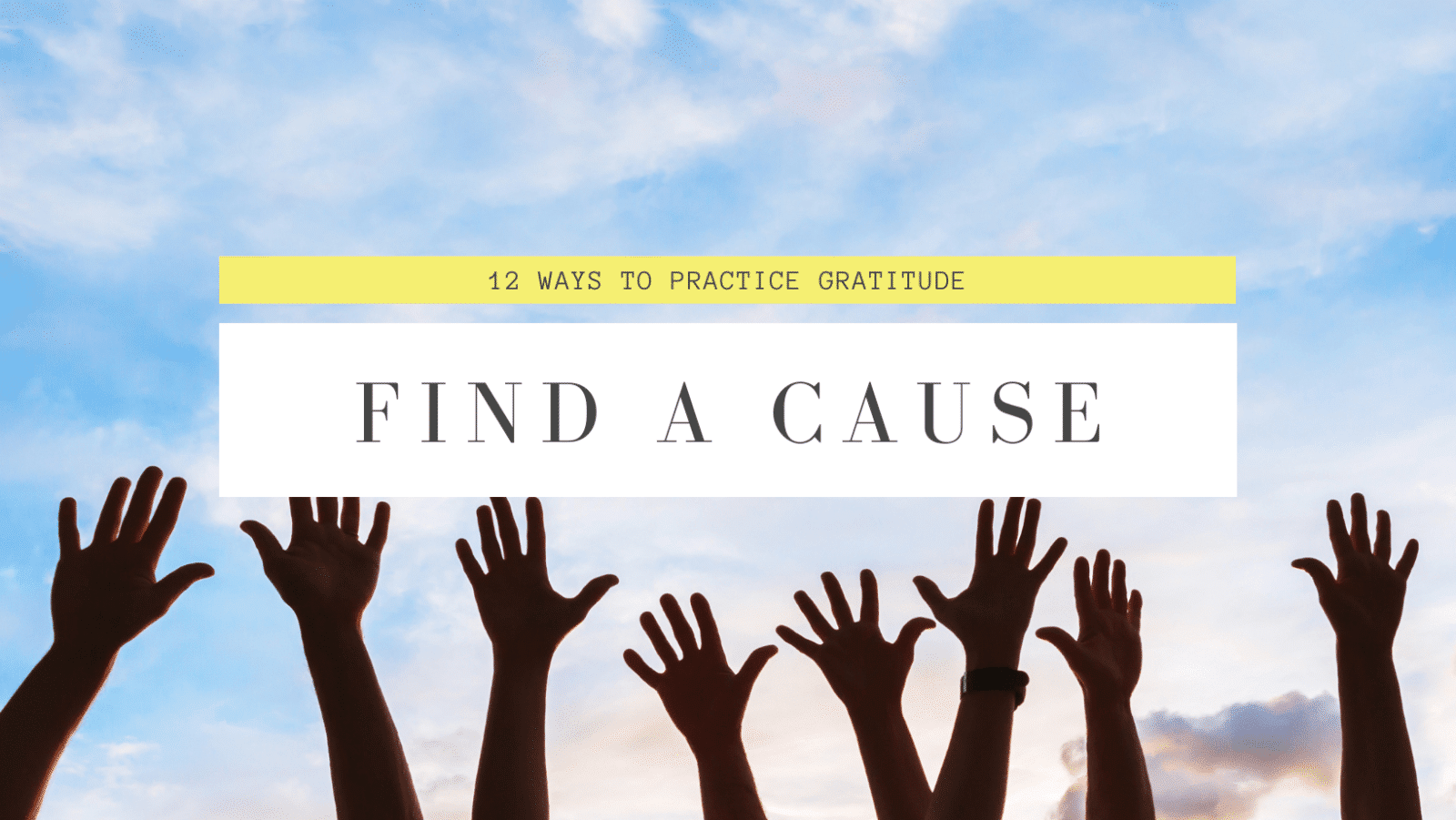 Women put up their hands to volunteer for a cause in how to practice gratitude.