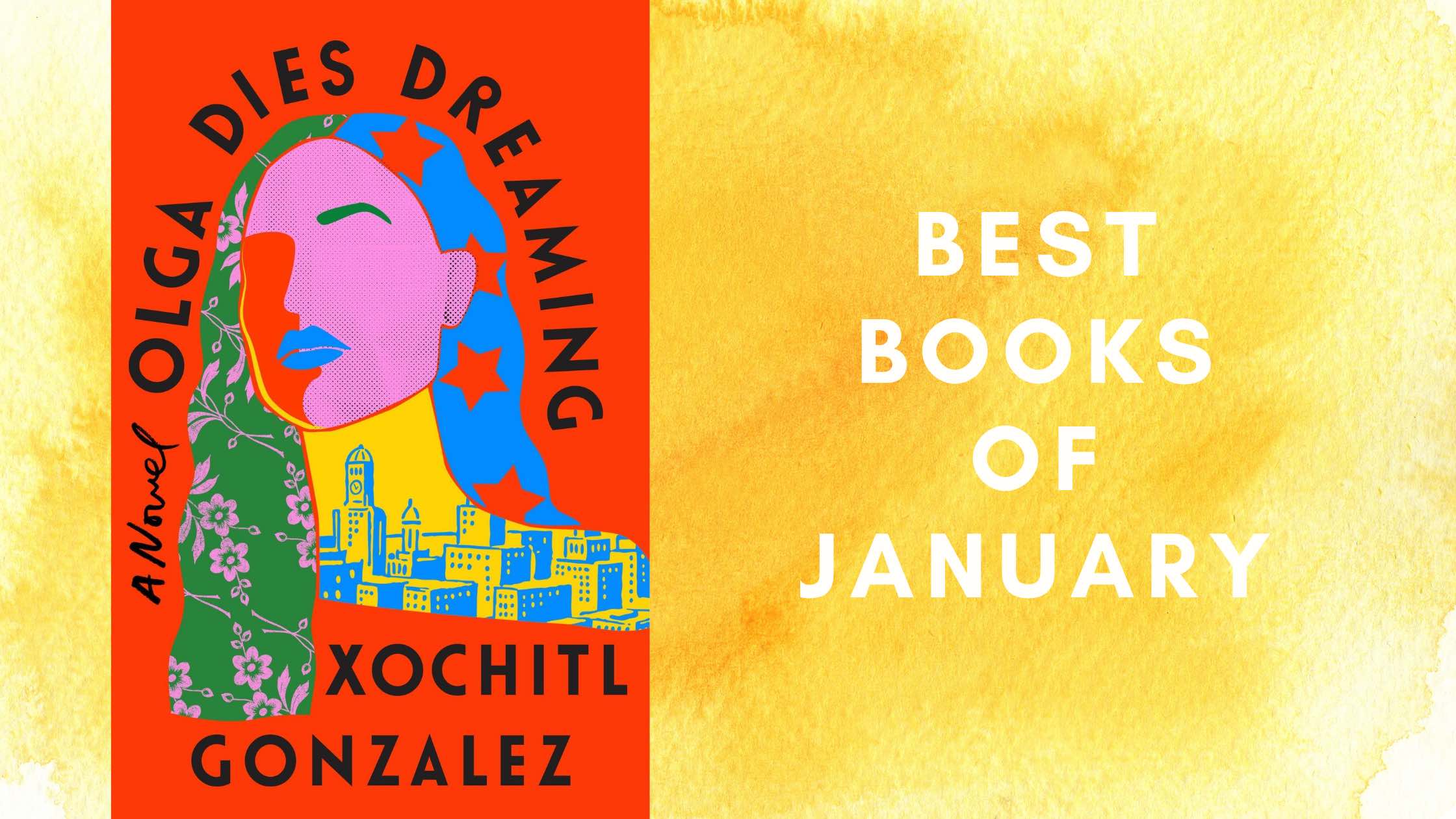 The most anticipated book of January includes Olga Dies Dreaming.