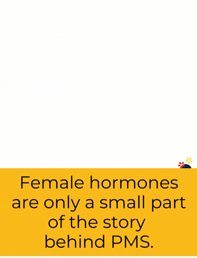 Female Hormones Gif