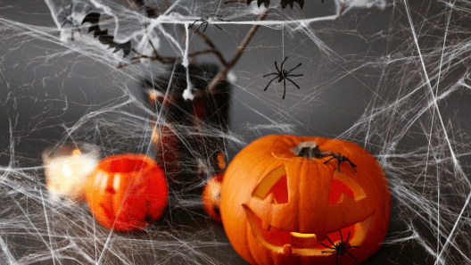 Fake spiders hang in a fake spider web spread across the photo with fake jack o' lanterns underneath