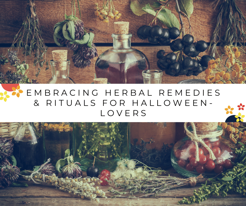 An array of herbs and fruits hang in a wooded shed hanging or marinating in jars waiting to be used as remedies.